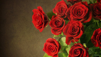Rose Wallpaper For HD