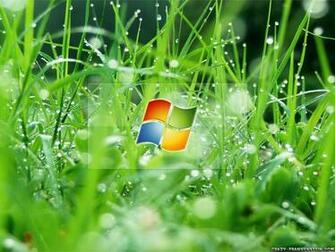 Windows Vista Computer Wallpaper Crazy Frankenstein