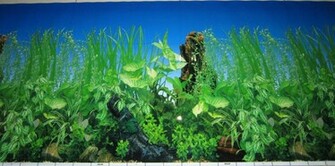 Aquarium Background Pictures