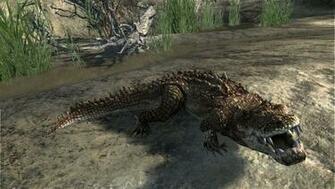 Cabela S Dangerous Hunts Video Game Wallpaper Of