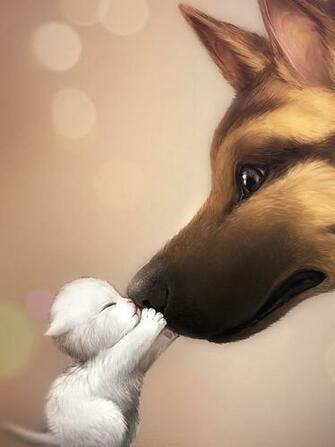 Love Cats Animals Mobile Wallpaper Mobiles Wall
