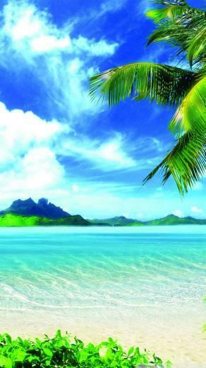 Beach Scenery iPhone Wallpaper Top