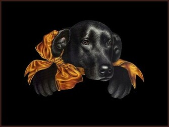 Black Lab Wallpaper