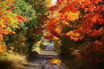 Sleeping Bear Dunes Michigan Pixdaus