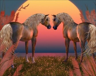 3d HD Wallpaper Animal Pictures Cute