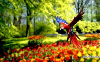 Animals Zoo Park Top Wallpaper For Desktop Background