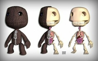 Sackboy Anatomy Wallpaper By Ny