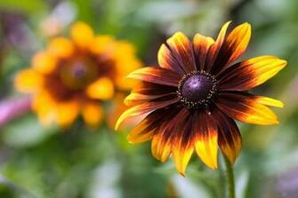 70s Background HDwallpaperdesktop HD Fine Wallpaper