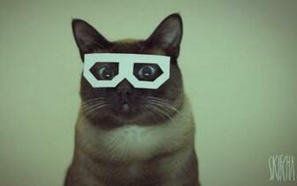 Cats Dubstep Wallpaper Stereo Skifcha