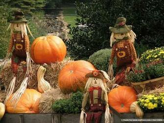 Fall Pumpkin Display Scarecrow Pumpkins Wallpaper Wallcoo Net