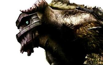 Image Video Games Shadow Of The Colossus HD Wallpaper Jpg Team