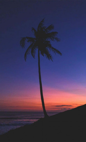 Indigo 63um4v6gkjnycquc Wallpaper