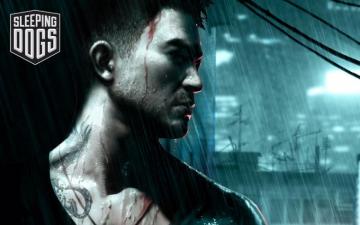 Sleeping Dogs Wallpaper In Dog