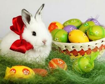 Desktop Wallpaper Easter Bunny Memes