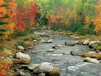 Beautiful River In The Autumn Wallpaper And Image