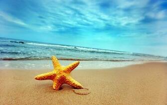 Beach Widescreen Wallpaper High Definition Quality