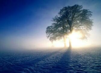 Winter Sunrise Wallpaper HD