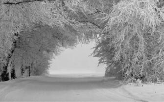 HD Widescreen Wallpaper Right Click The Select Set As