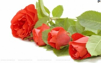 Santabanta Nature Wallpaper HD Lovely
