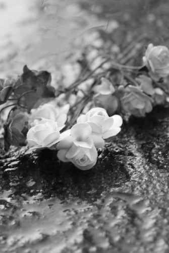Black And White Flower iPhone Wallpaper