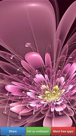 Wajib Tahu Gambar Bunga Wallpaper Yang Disimak