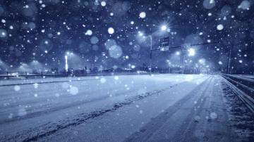 Winter Way Wallpaper