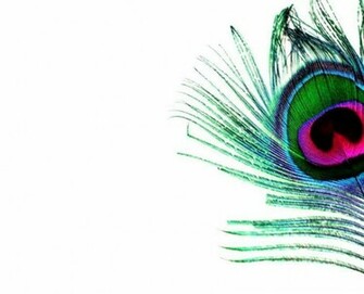 Peacock Feather Wallpaper HD Pictures Image