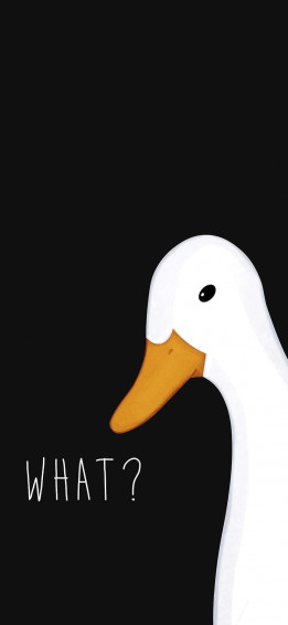 Funny Goose Saying What 9nat6mg22lva1w0k Wallpaper