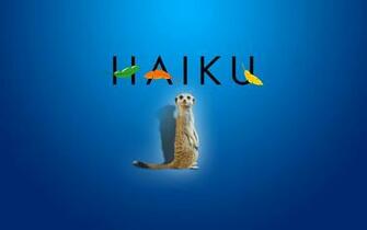 Haiku Os Meerkat Wallpaper By Walentywalewski