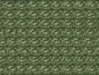 Stereogram Wallpaper
