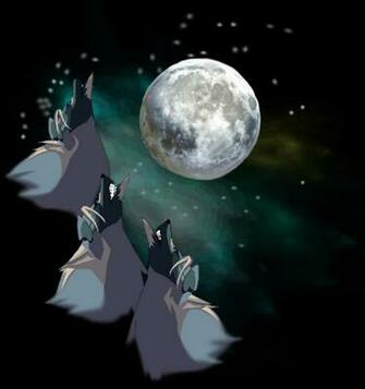 Three Wolf Moon Wallpaper By