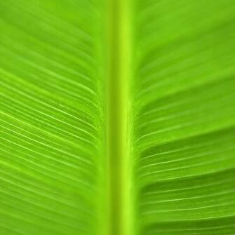 High Definition Wallpaper Widescreen Lcd Desktop