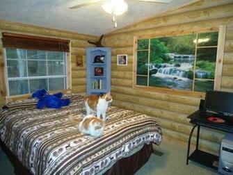 Log Cabin Wallpaper Real Look Rustic Wall Paper Double Roll