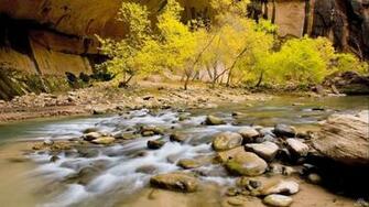Full HD Nature Wallpaper For Laptop Desktop Background Jpg