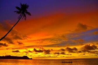 Tropical Sunset Wallpaper