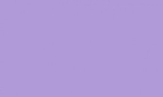 Purple Solid Color Background And The Below