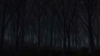 Wallpaper Forest Trees Background Dark Laptop