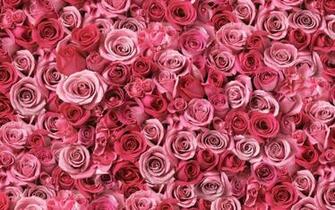 Digital High Defination 3d HD Flower Wallpaper For Desktop