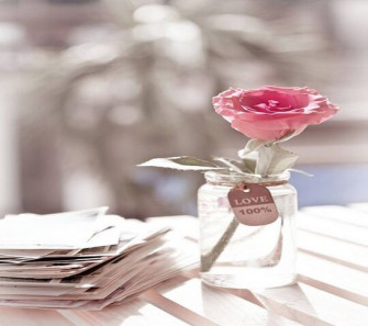 Love Rose Wallpaper