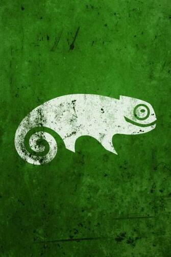 Green Iguana Wallpaper