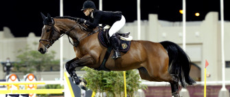 Equestrian Wallpaper