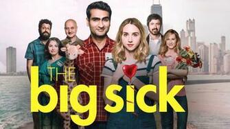 The Big Sick Is Cure For Common Rom Redbox