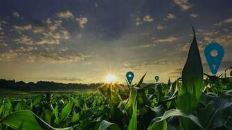 Accenture Digital Agriculture Service