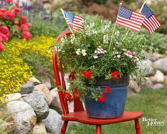 Lovely Potted Blooms Perfect For Holiday Barbecues And Picnics