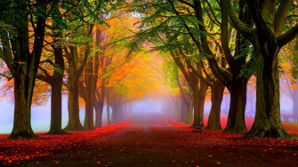 Cute Autumn Wallpaper