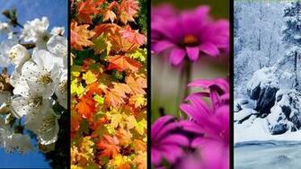 Seasons Wallpaper And Background Toptenpack