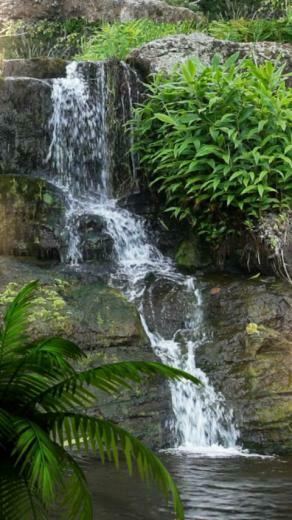 Waterfall Live Wallpaper Android Apps On Google Play
