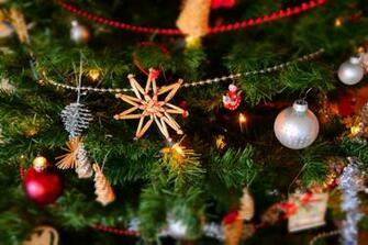 Lighted Christmas Tree Image