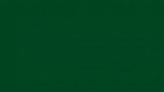 Resolution Up Forest Green Solid Color Background