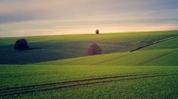 Meadow Background High Quality Image HD Wallpaper